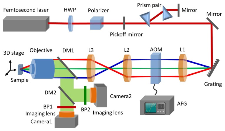 Fig. 1