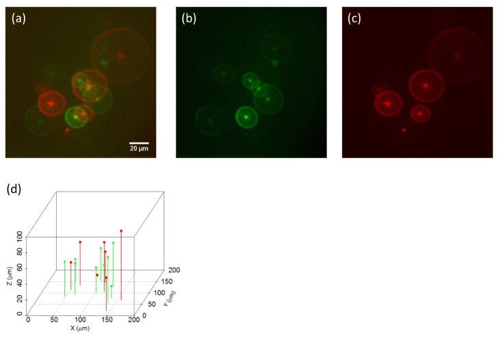 Fig. 4