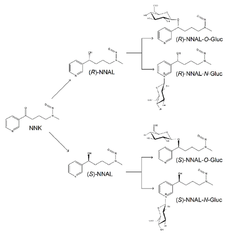 Scheme 1.