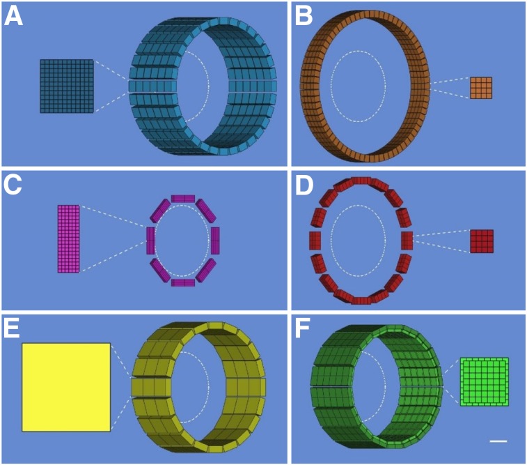 FIGURE 5.