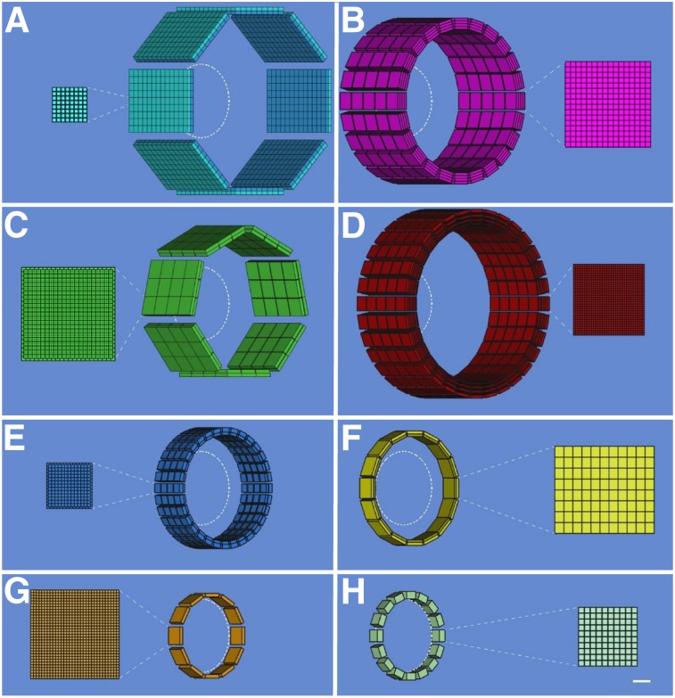 FIGURE 2.