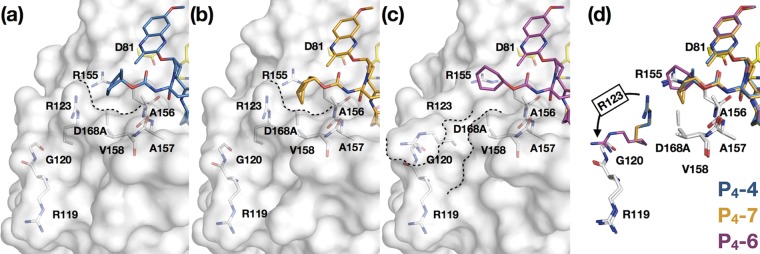 FIG 6