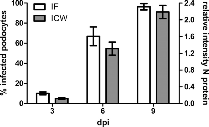 Fig 4