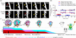 Synaptic plasticity during saturation and recovery of the capacity for LTD.