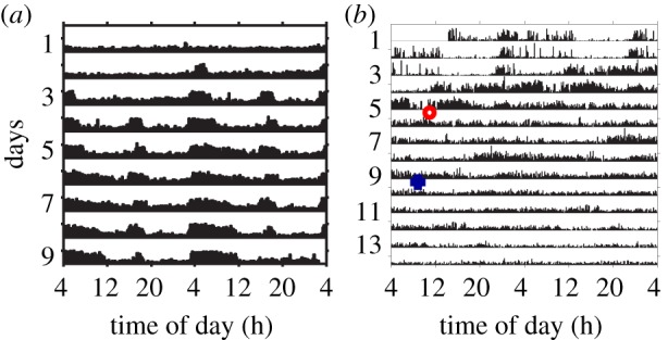 Figure 2.