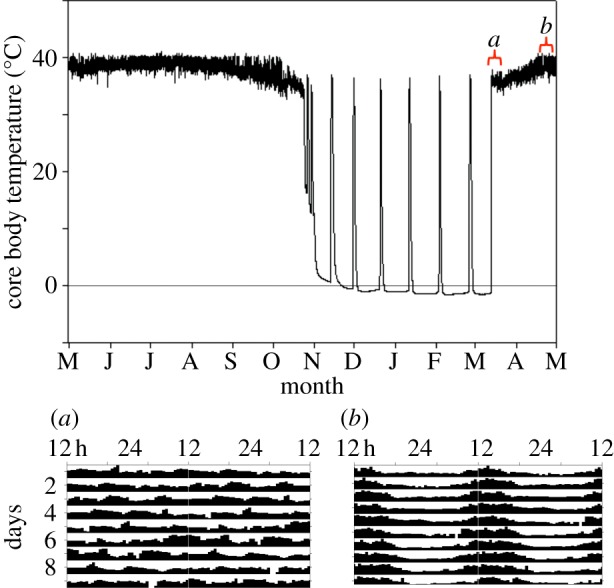 Figure 1.