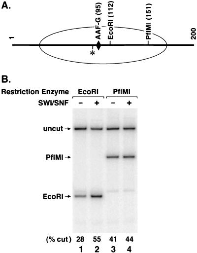 FIG. 5.