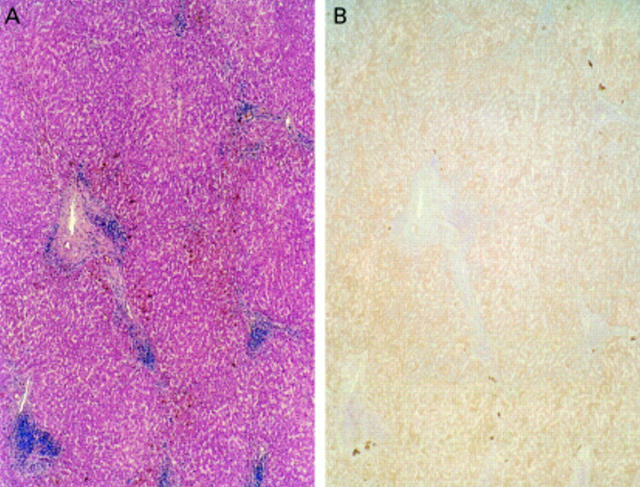 Figure 4  