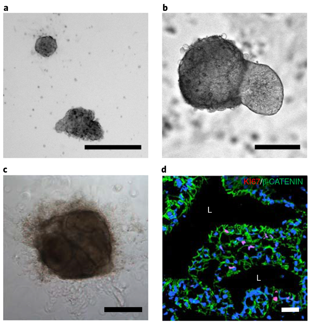 Fig. 7 |