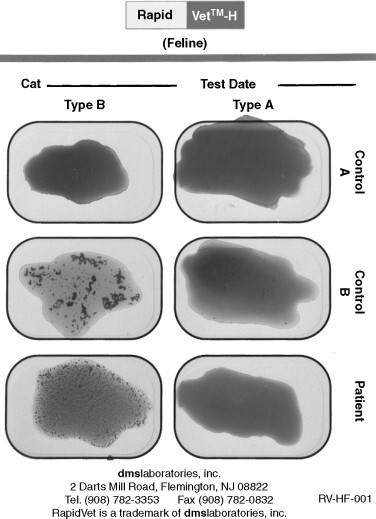 Figure 24-1