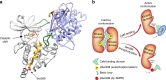 Fig. 9