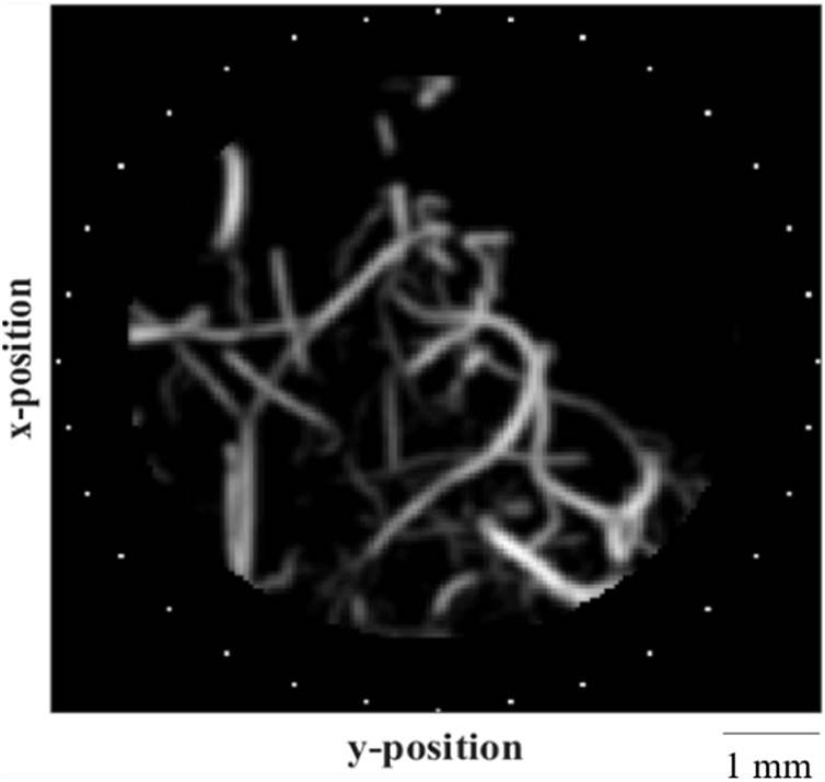 Fig. 8