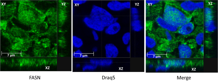 Figure 2