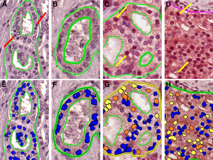 Figure 3