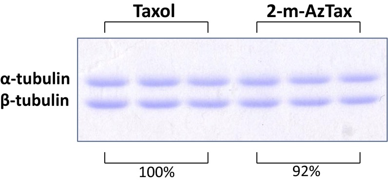 Fig. S5.