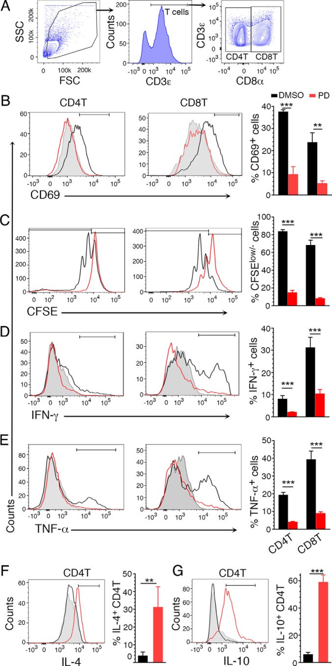 Figure 10.