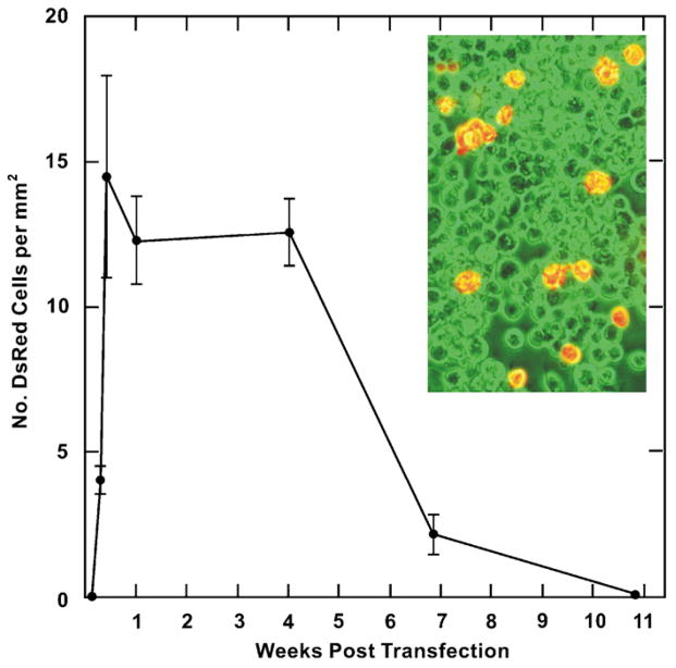 Fig. 8