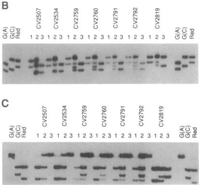 graphic file with name pnas01094-0356-a.jpg