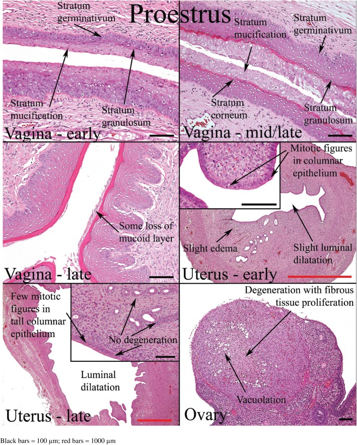 Fig. 11