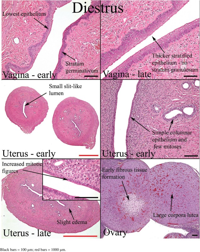 Fig. 14