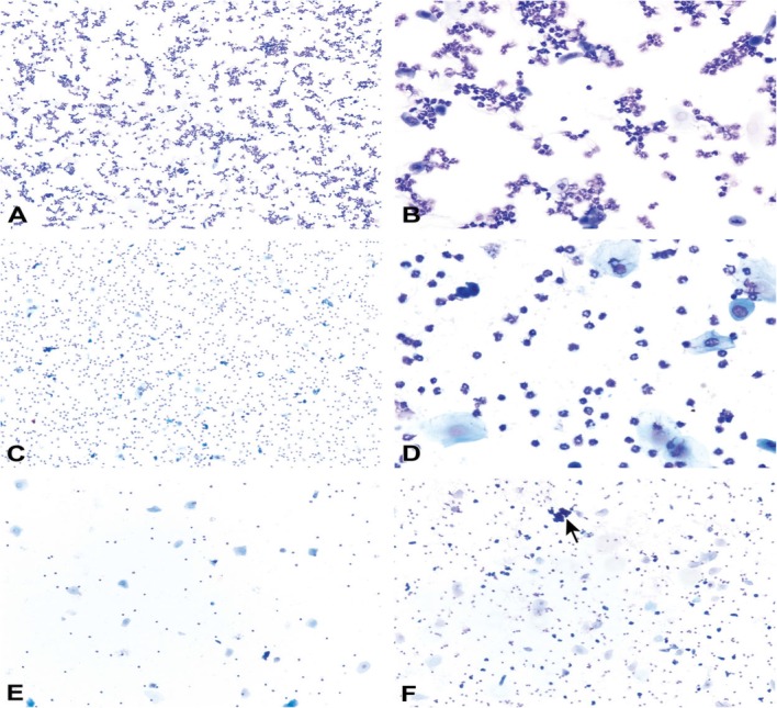 Fig. 10