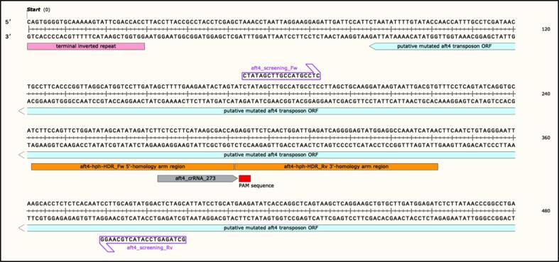 Supplementary figure 1