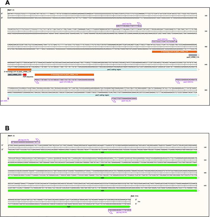 Supplementary figure 3