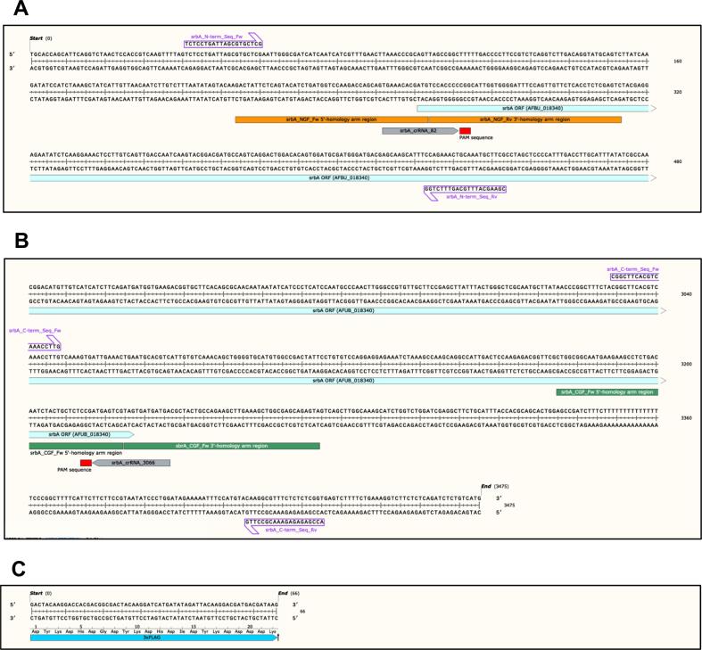 Supplementary figure 6