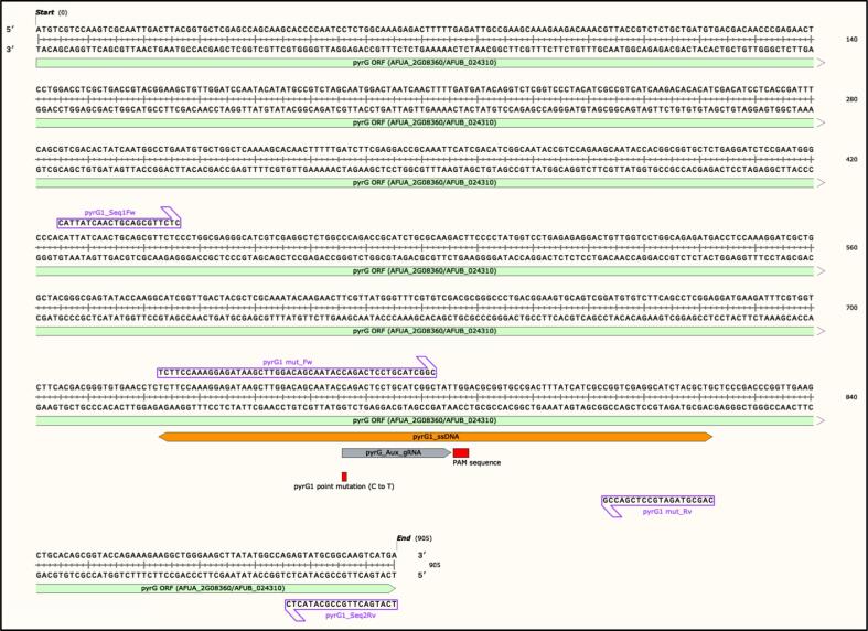 Supplementary figure 7