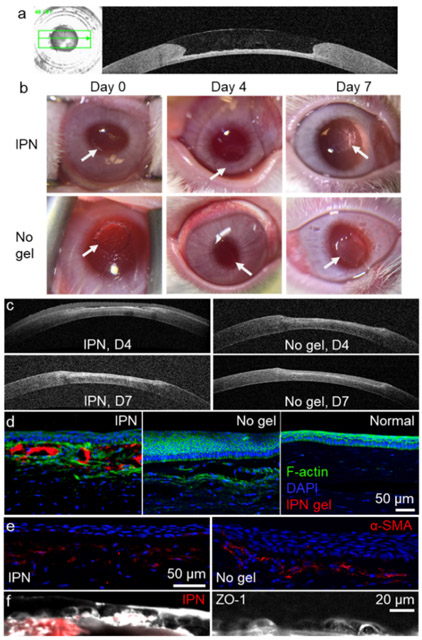 Figure 6.