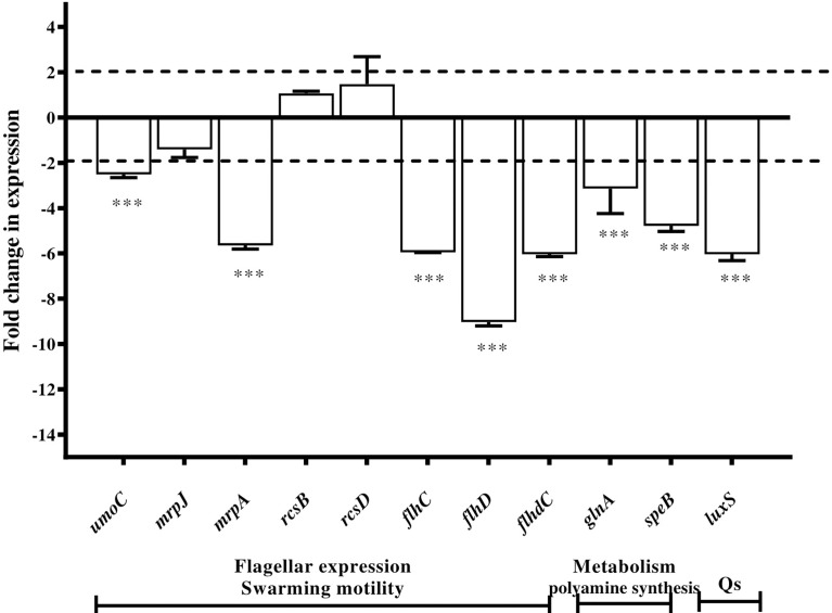 Figure 4