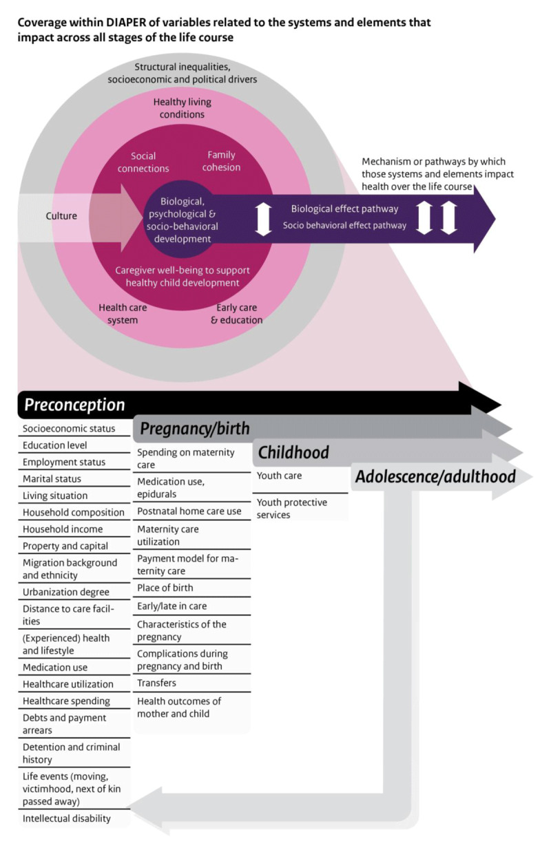 Schematic presentation of the variables in DIAPER within the Vibrant and Healthy Kids conceptual framework