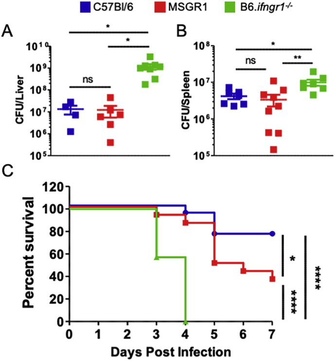 Fig. 6