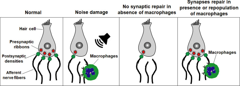 Figure 11.