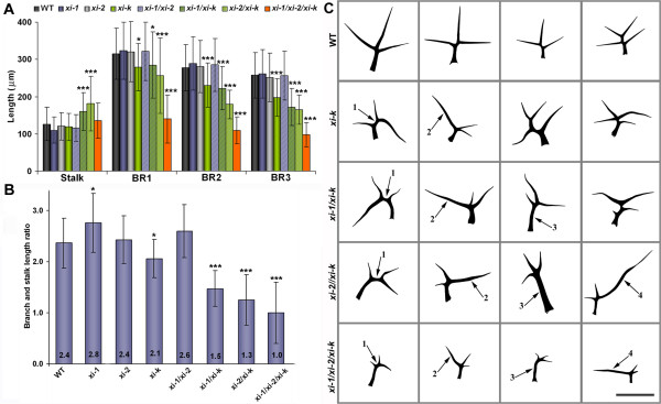 Figure 3 