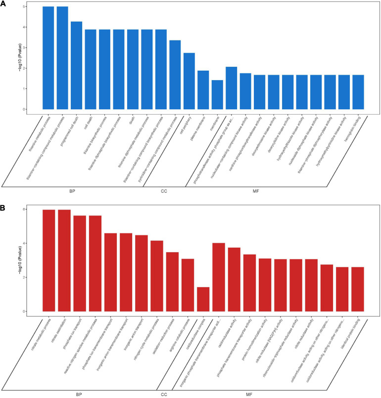 FIGURE 10