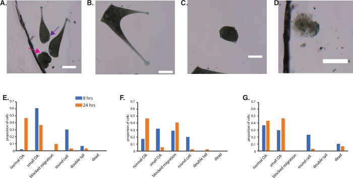 Figure 6—figure supplement 1.