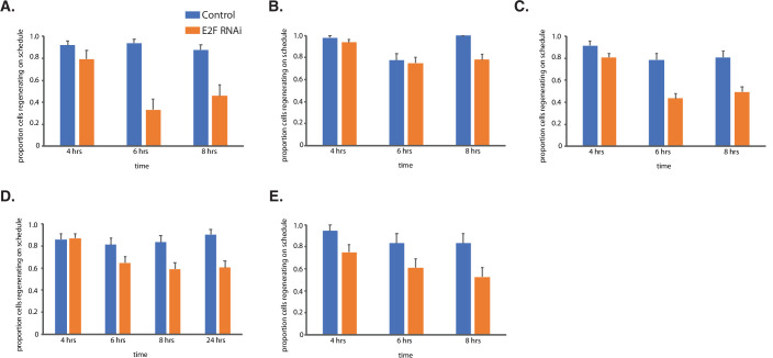 Figure 5—figure supplement 1.