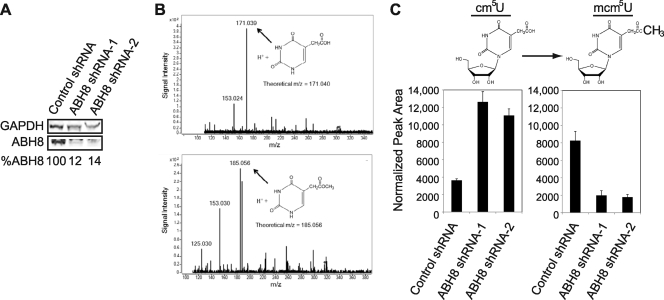 FIG. 6.