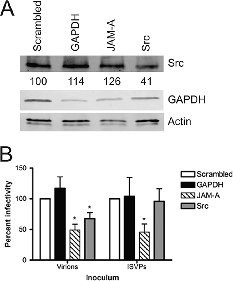 FIG. 8.