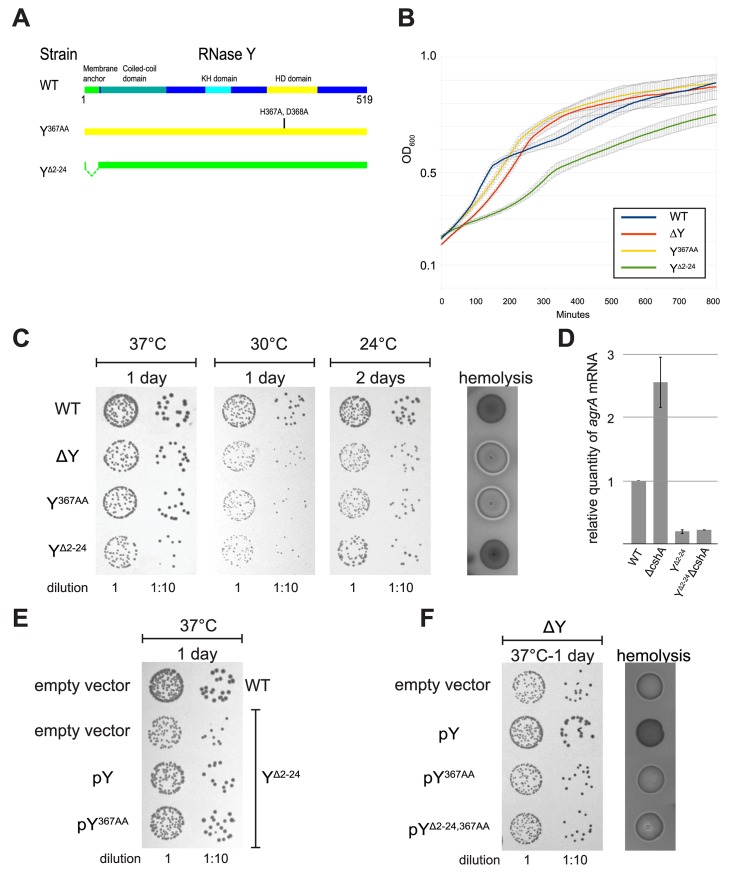 Fig 5