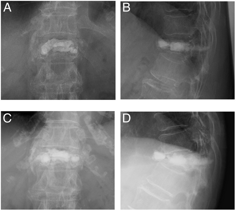 Figure 1