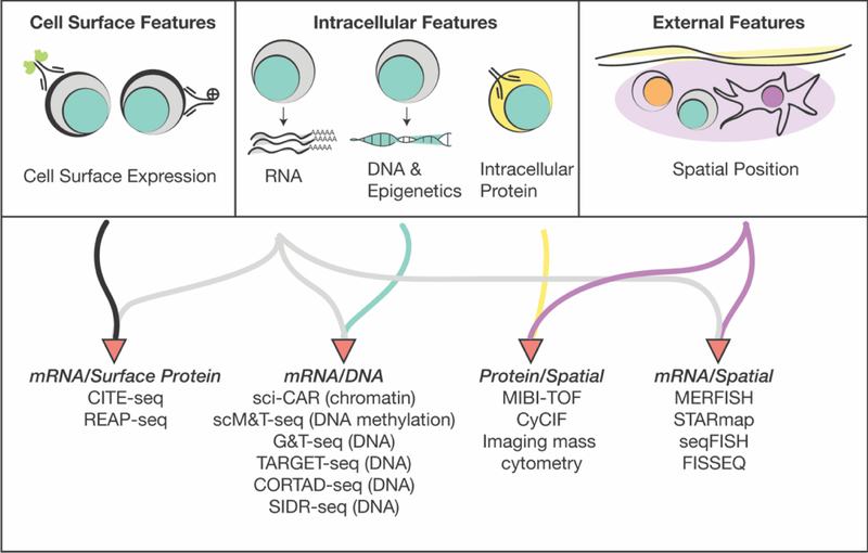 Figure 2: