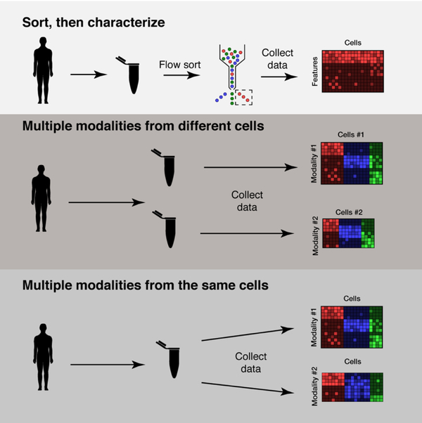 Figure 1: