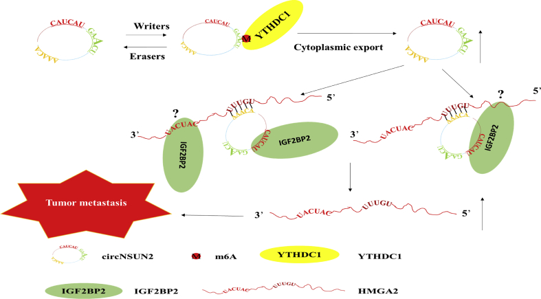 Figure 1