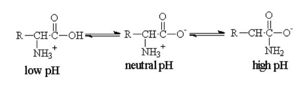 FIG. 13