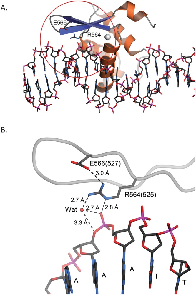 Figure 5