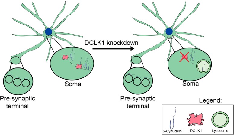 Figure 11.