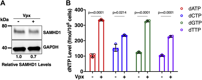 Figure 7