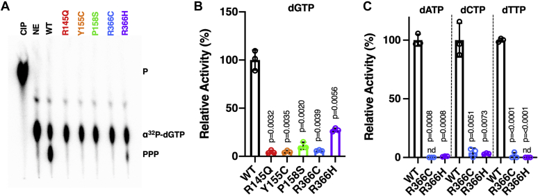 Figure 3